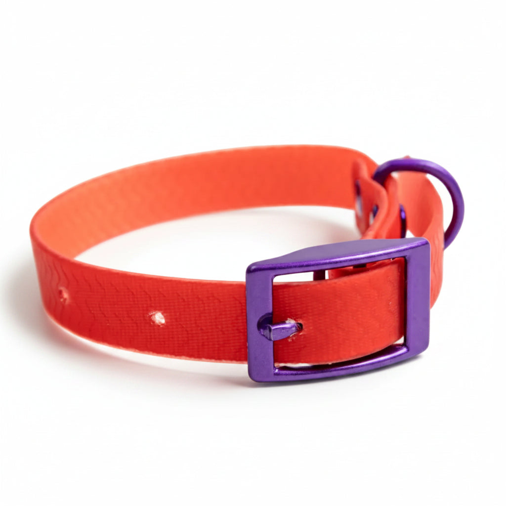 Jelly Collar - Waterproof Collar For Small Dogs (4 colors)