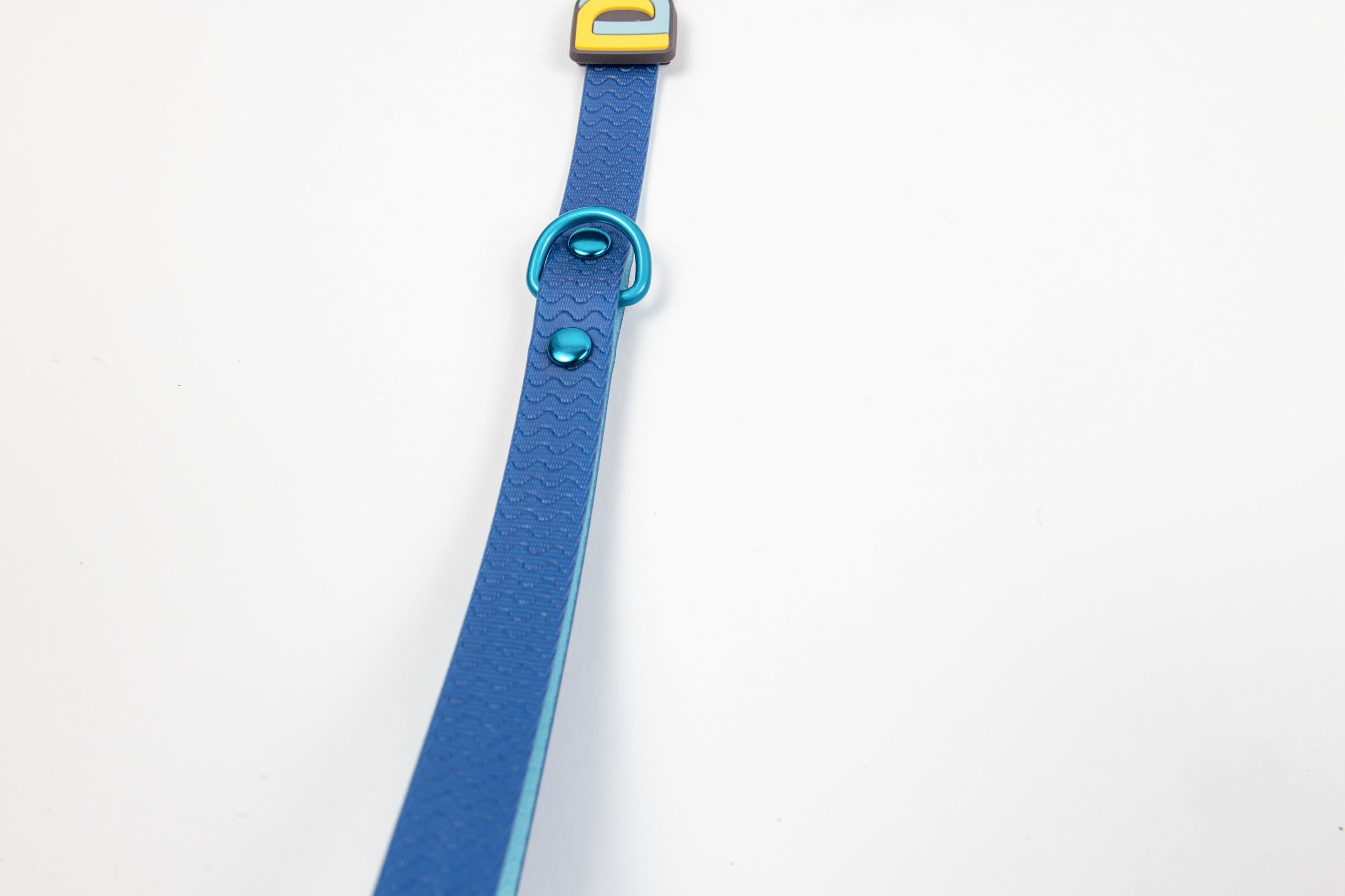 Blue Jelly Leash - Waterproof Leash for Small Dogs