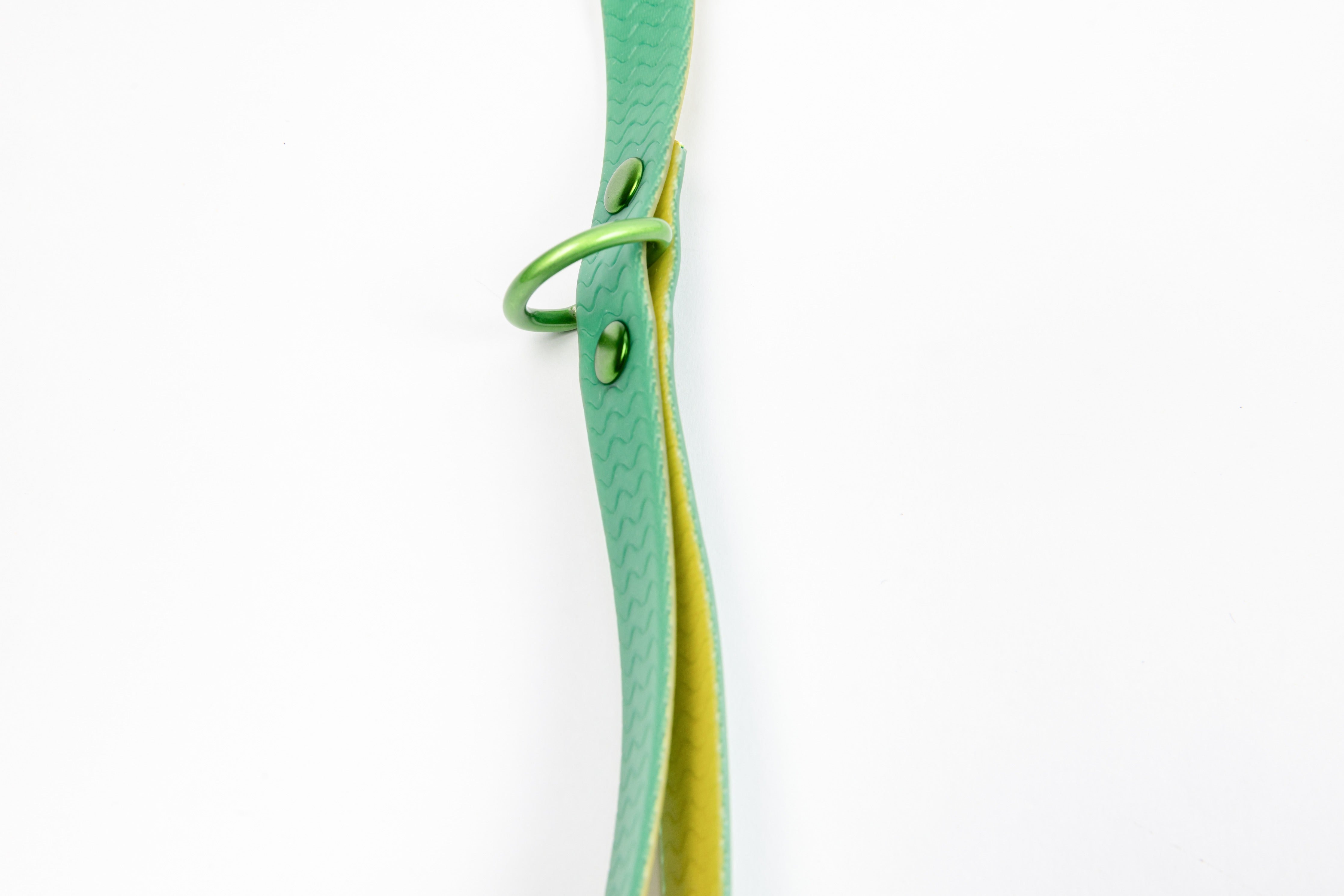 Green Jelly Leash - Waterproof Leash for Small Dogs