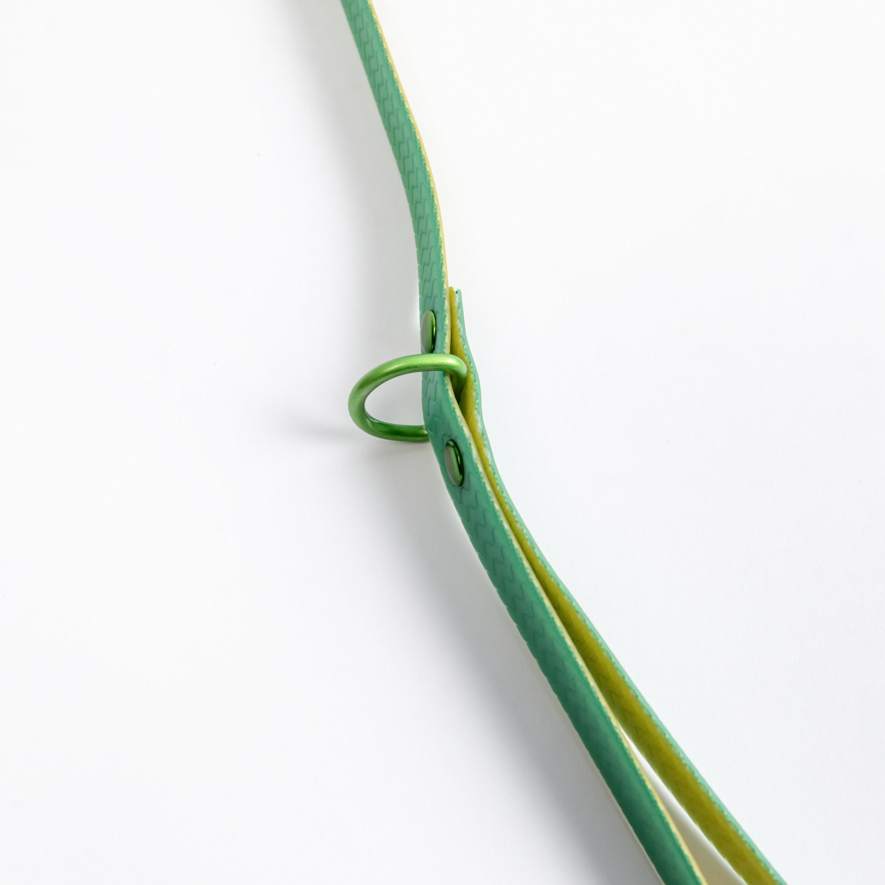Green Jelly Leash - Waterproof Leash for Small Dogs