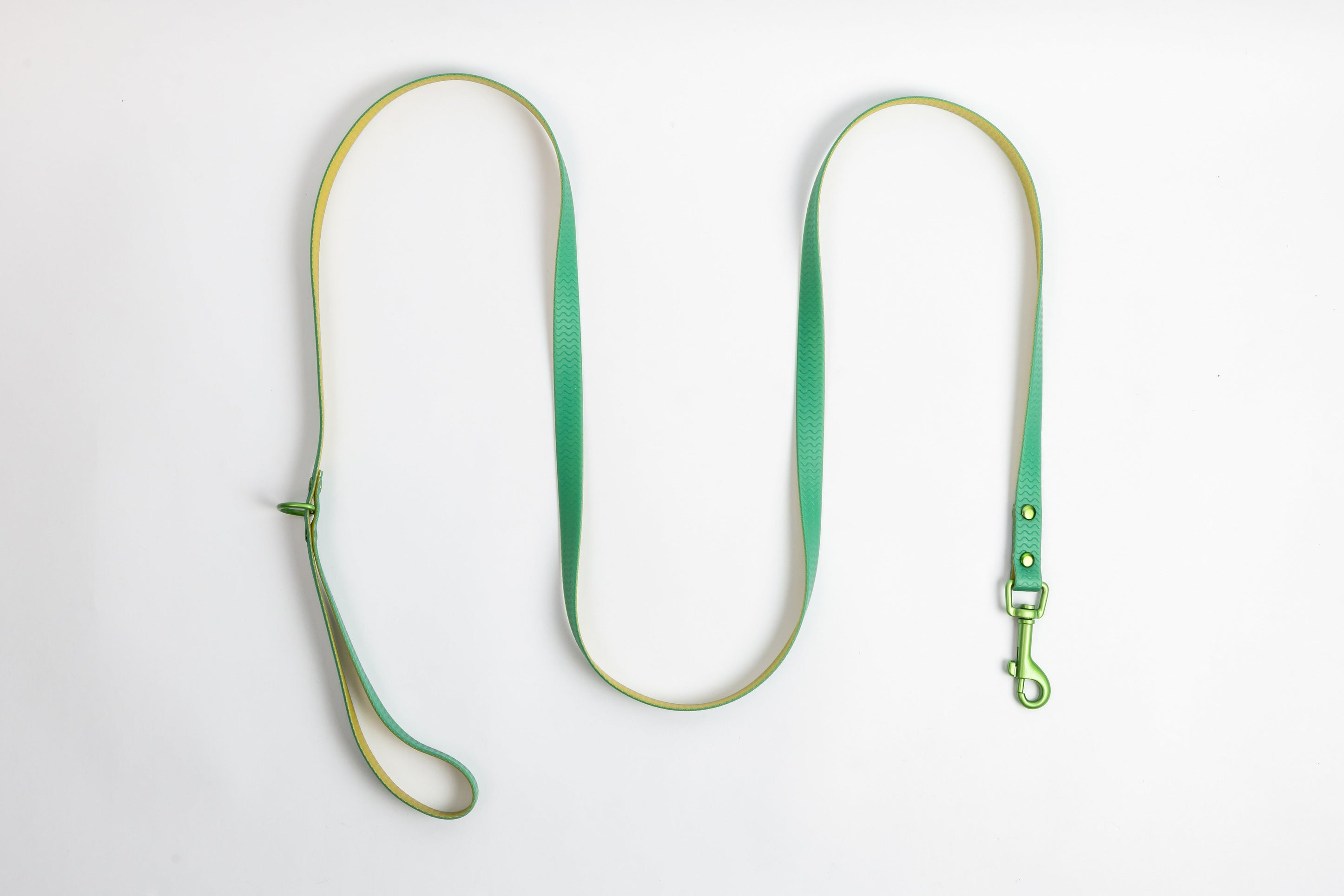 Green Jelly Leash - Waterproof Leash for Small Dogs