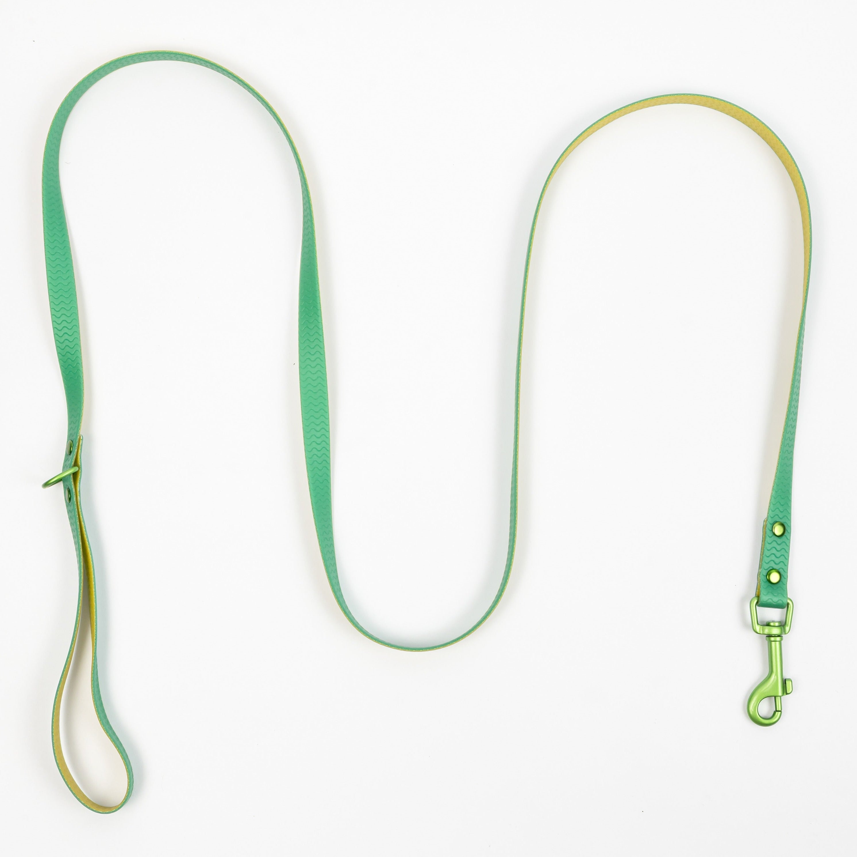 Jelly Waterproof Leash for Small Dogs