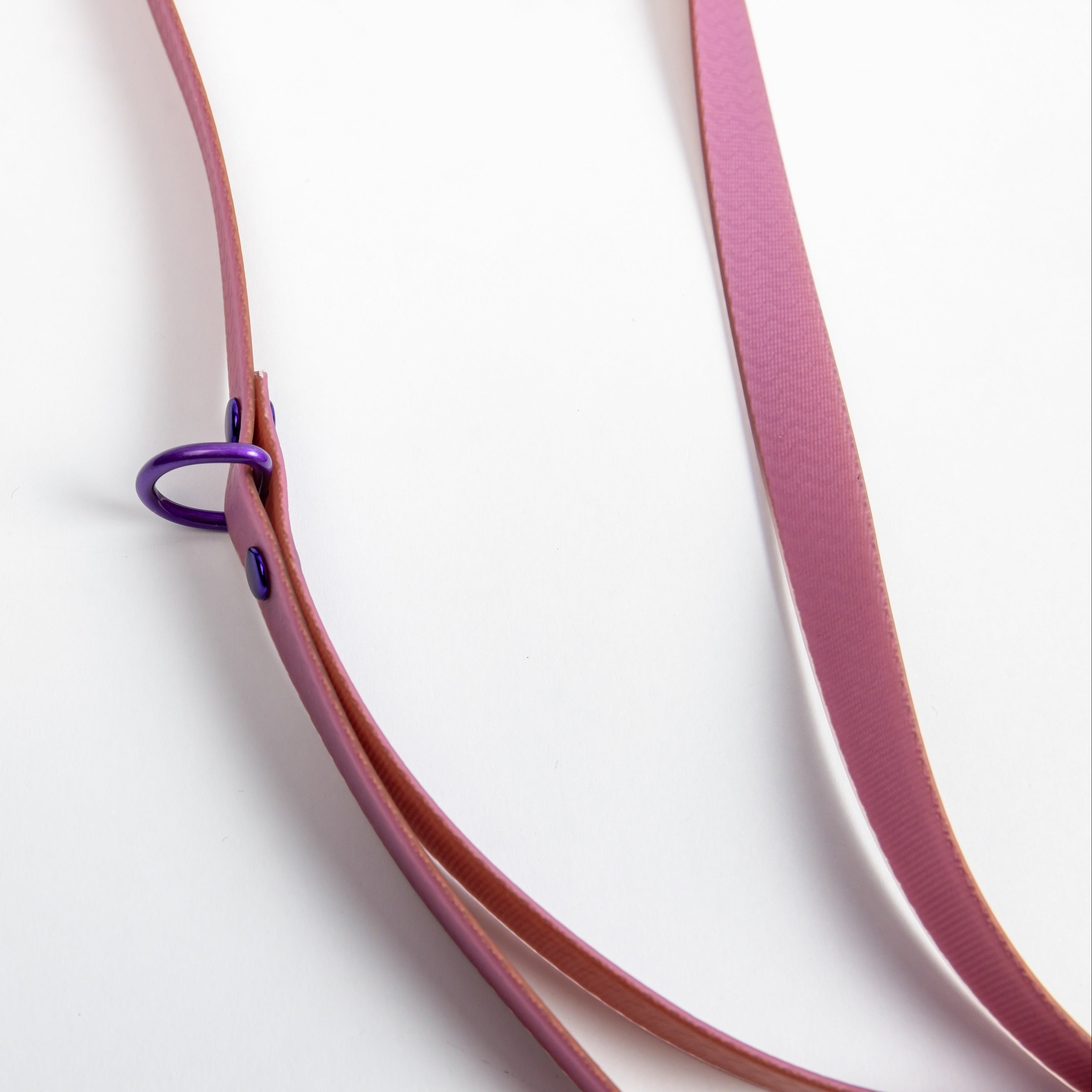 Jelly Waterproof Leash for Small Dogs