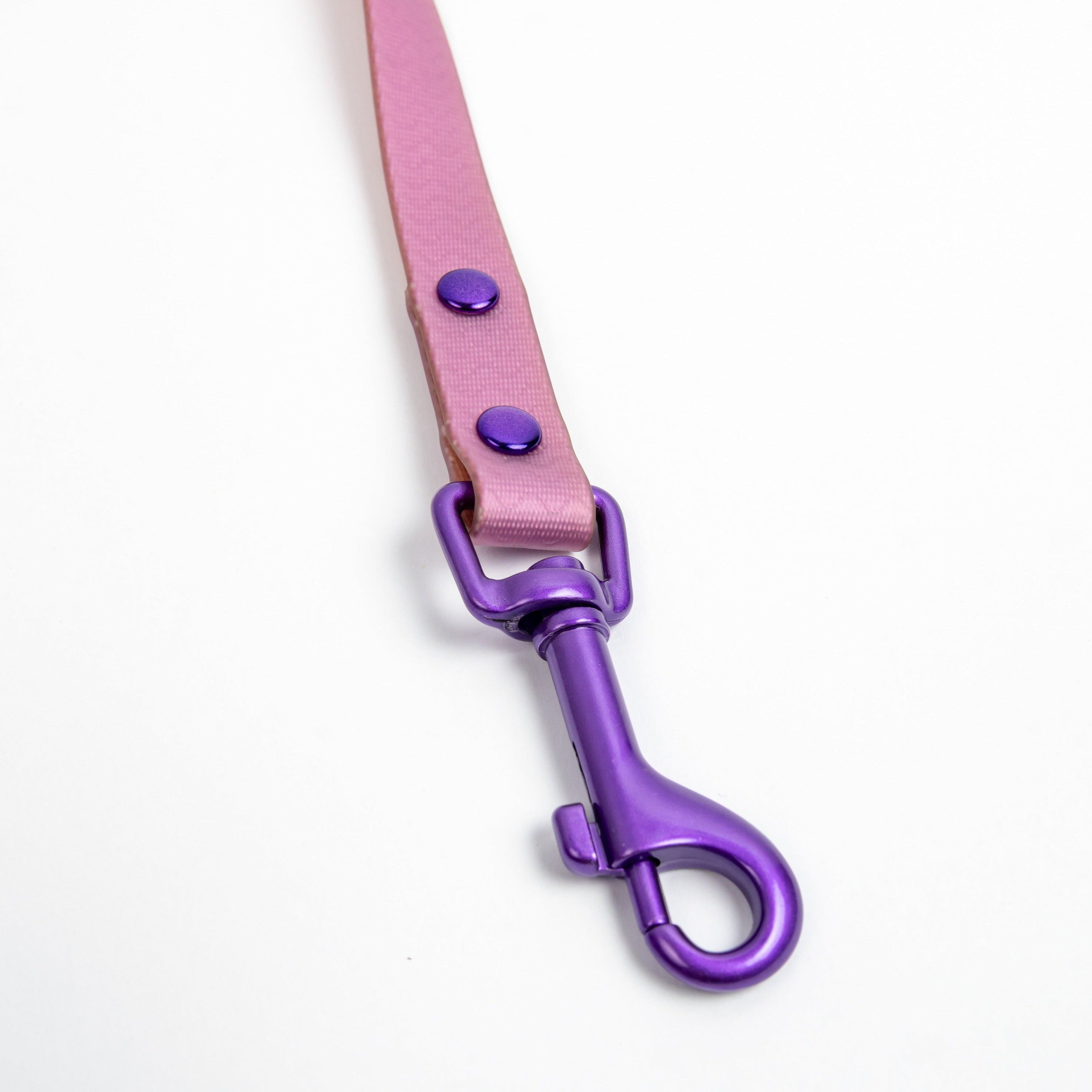 Jelly Waterproof Leash for Small Dogs