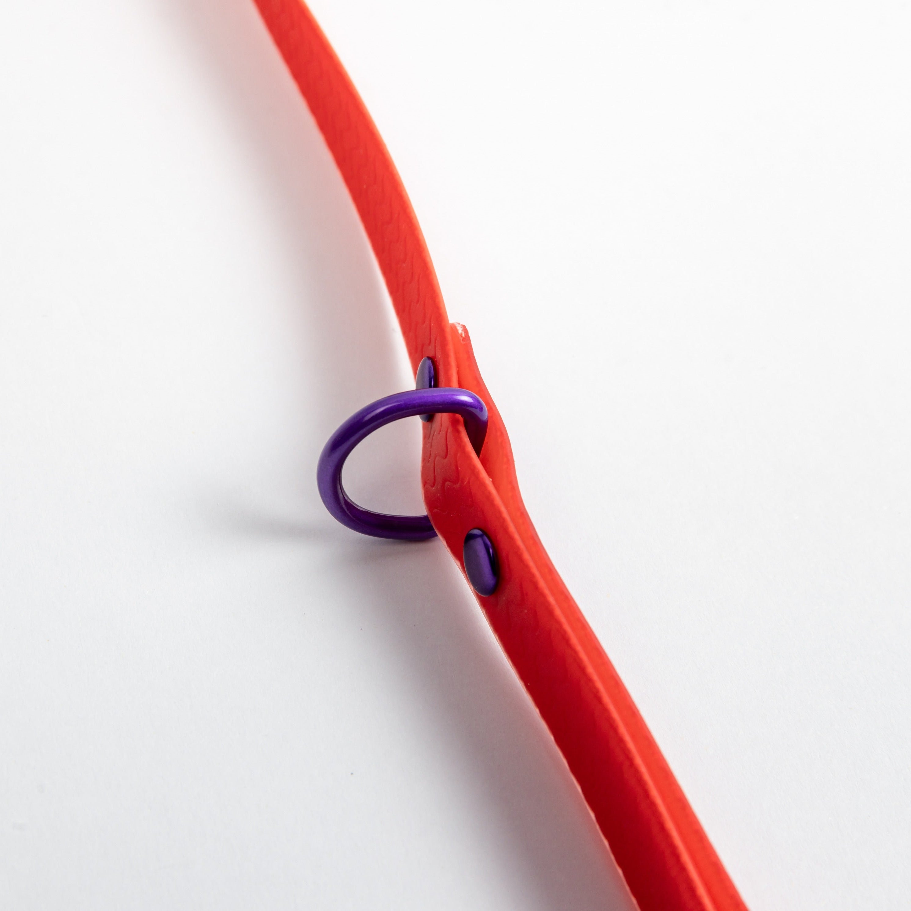 Red Jelly Leash - Waterproof Leash for Small Dogs