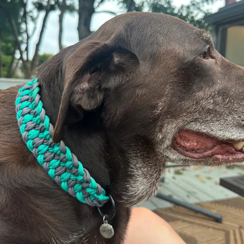 Josephine Braid Handmade Dog Collar - Customize Your Colors Pawsh Pup Co.