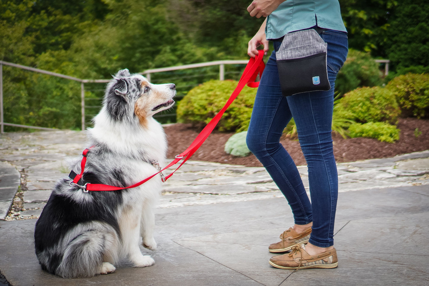 Multi-Function Leash Blue-9 Pet Products