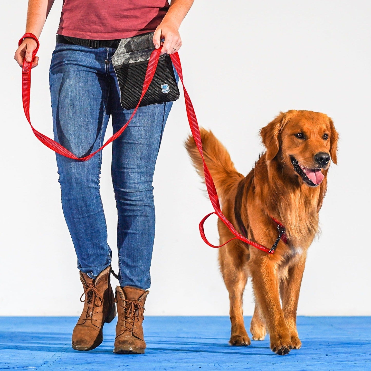 Reflective 6' Leash Blue-9 Pet Products
