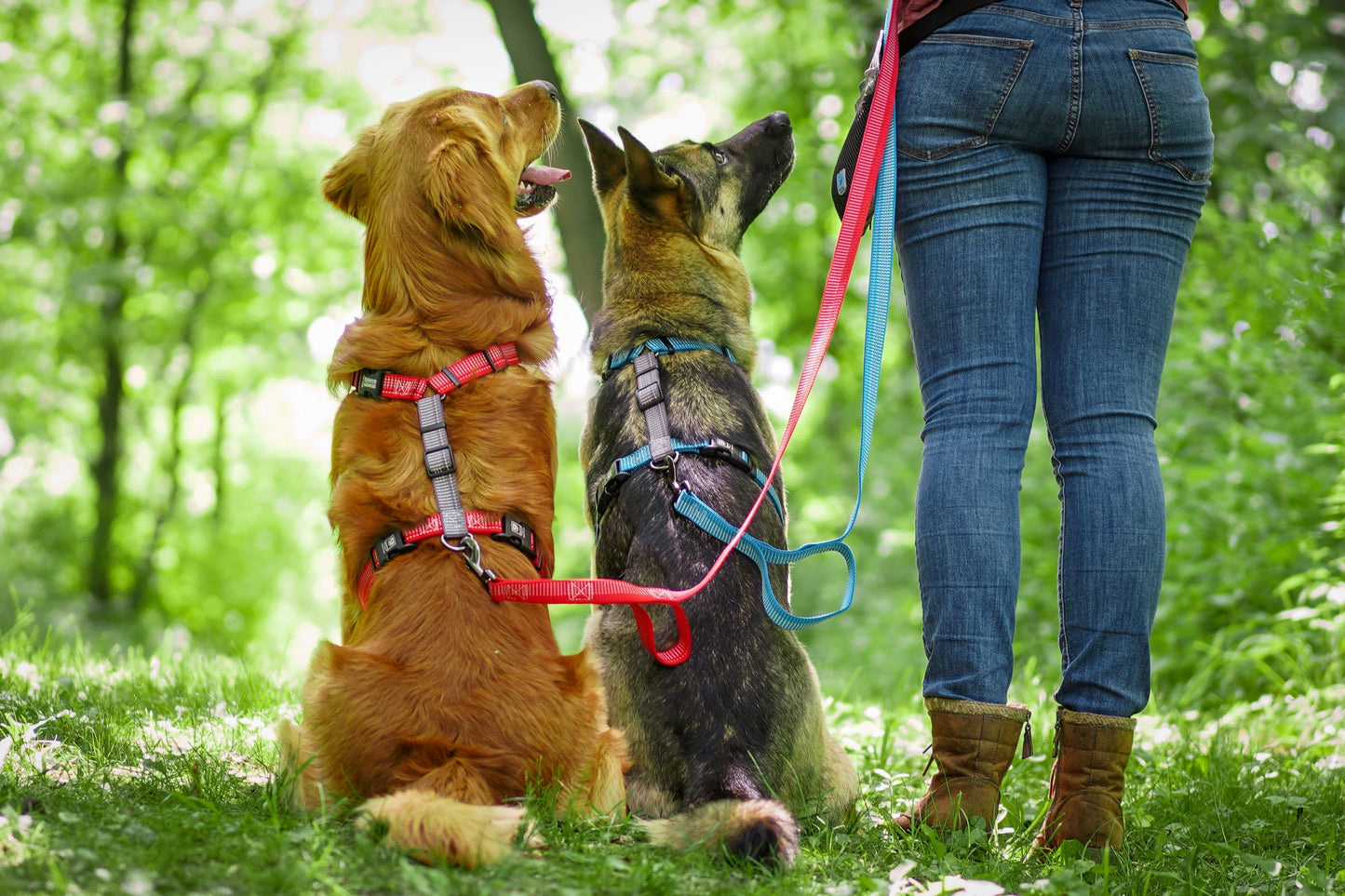 Reflective Balance Harness Blue-9 Pet Products
