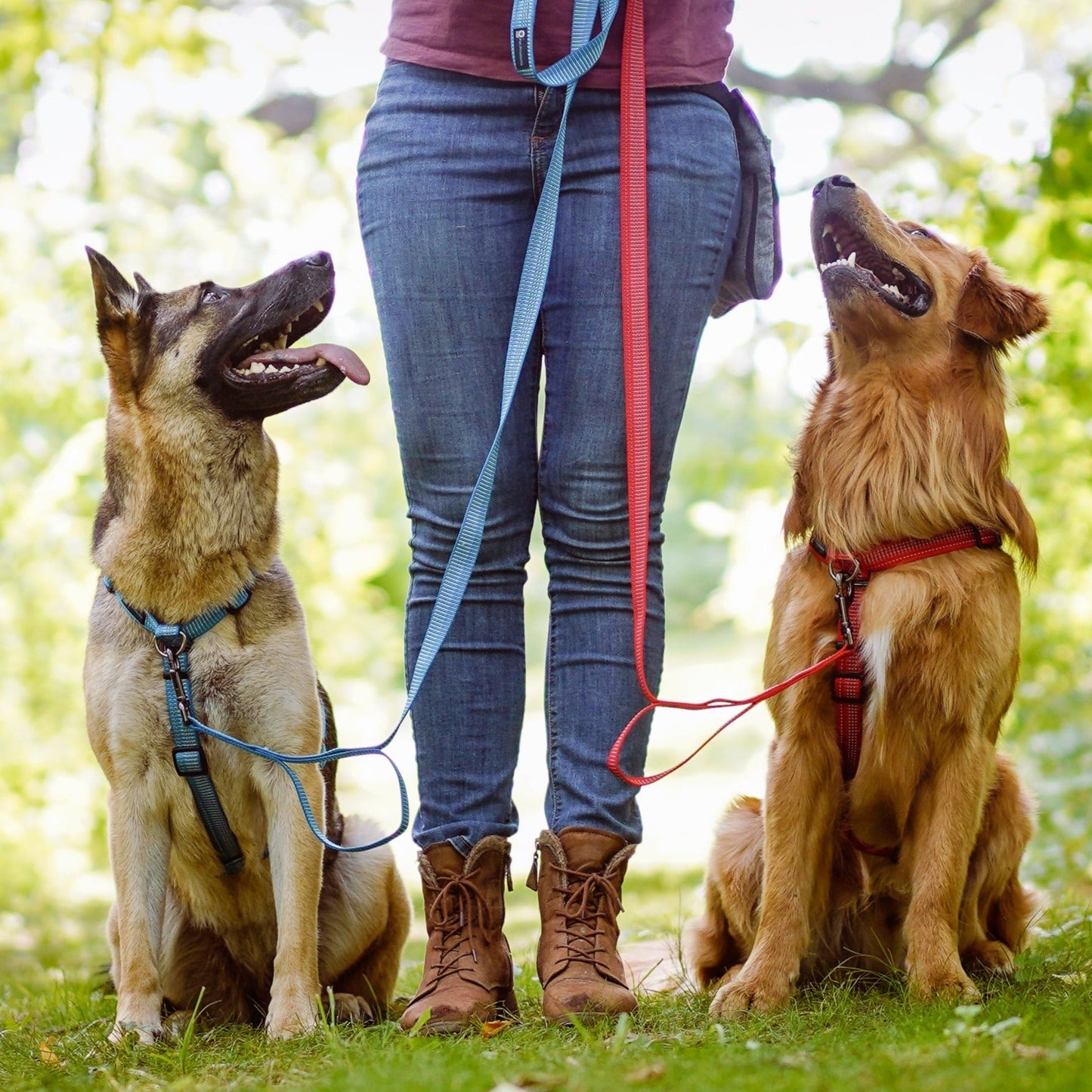 Reflective 6' Leash Blue-9 Pet Products