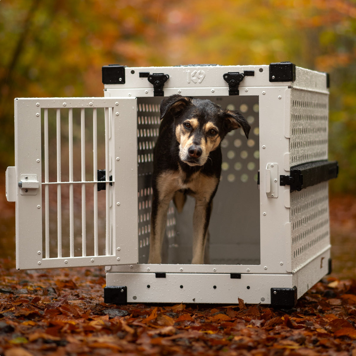 Heavy Duty Collapsible Dog Crate – Medium Long