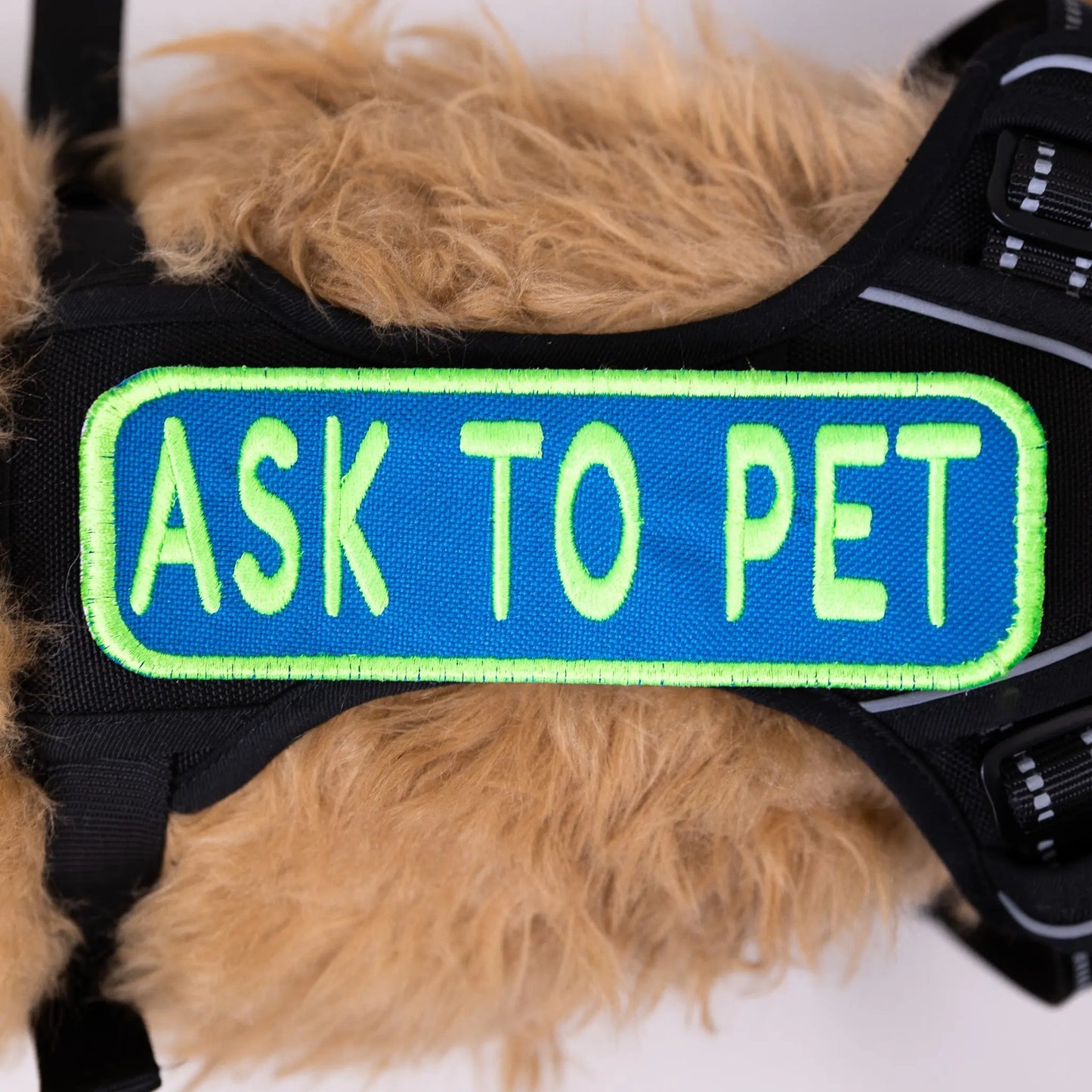 Ask to Pet 2x6 Patch K9 Sport Sack