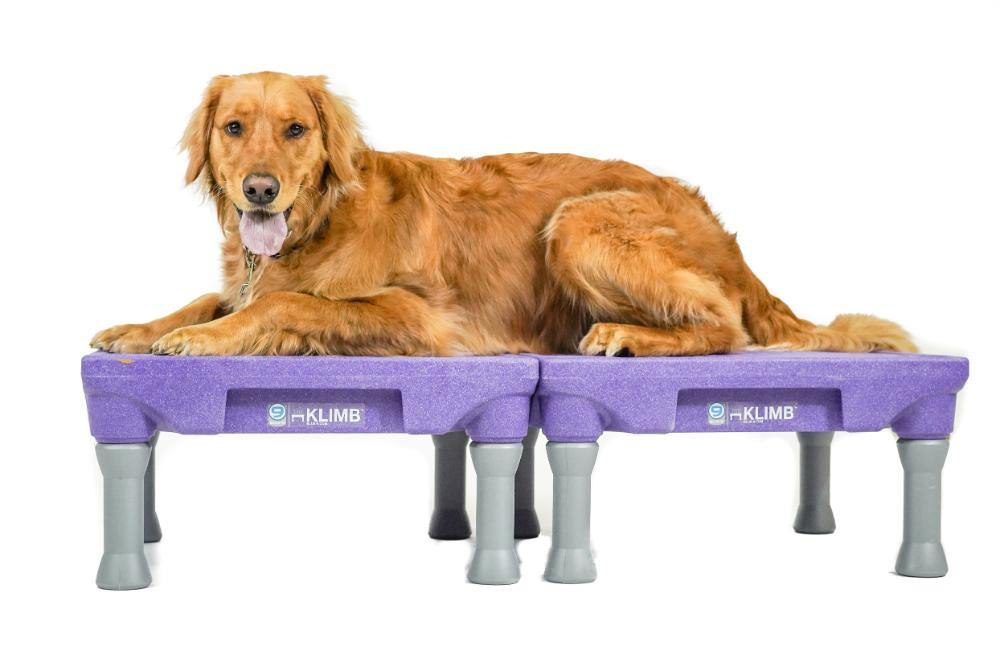KLIMB Blue-9 Pet Products