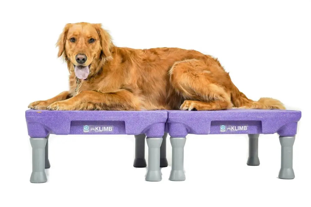 KLIMB Blue-9 Pet Products