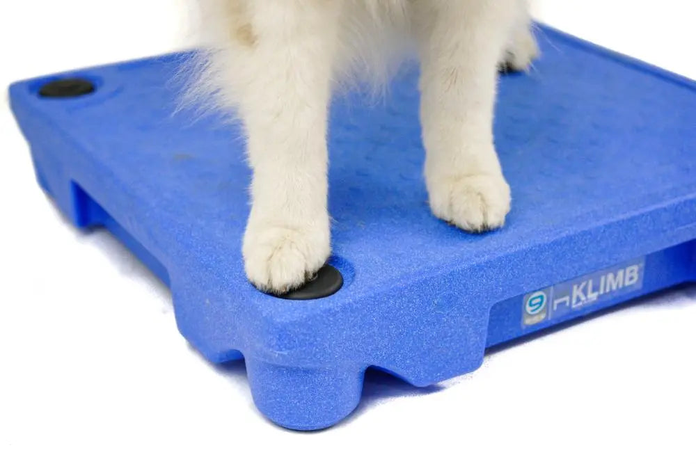 Sure Feet Blue-9 Pet Products