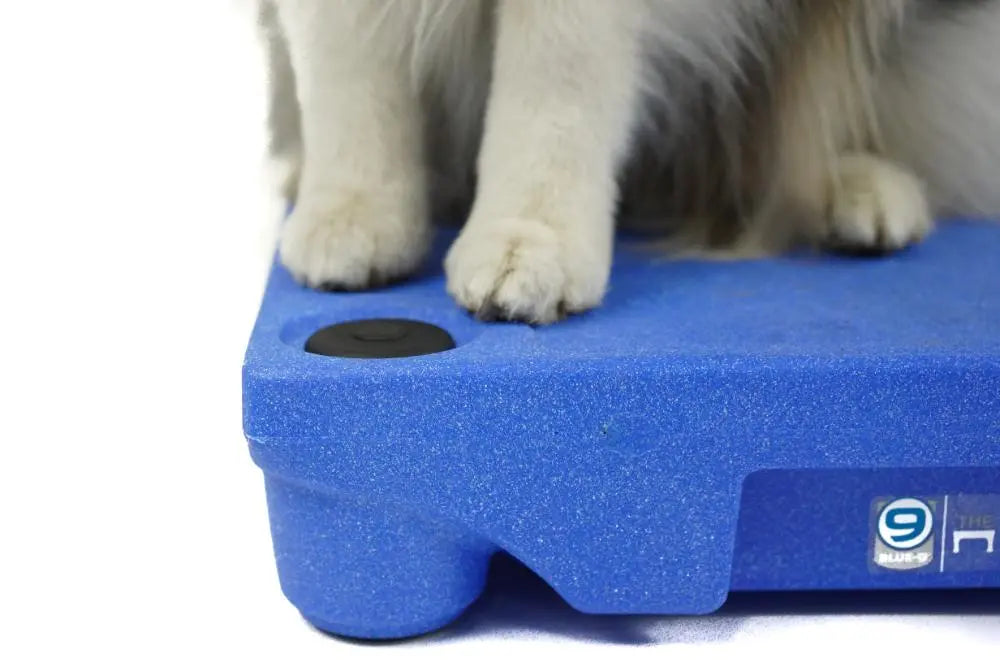 Sure Feet Blue-9 Pet Products