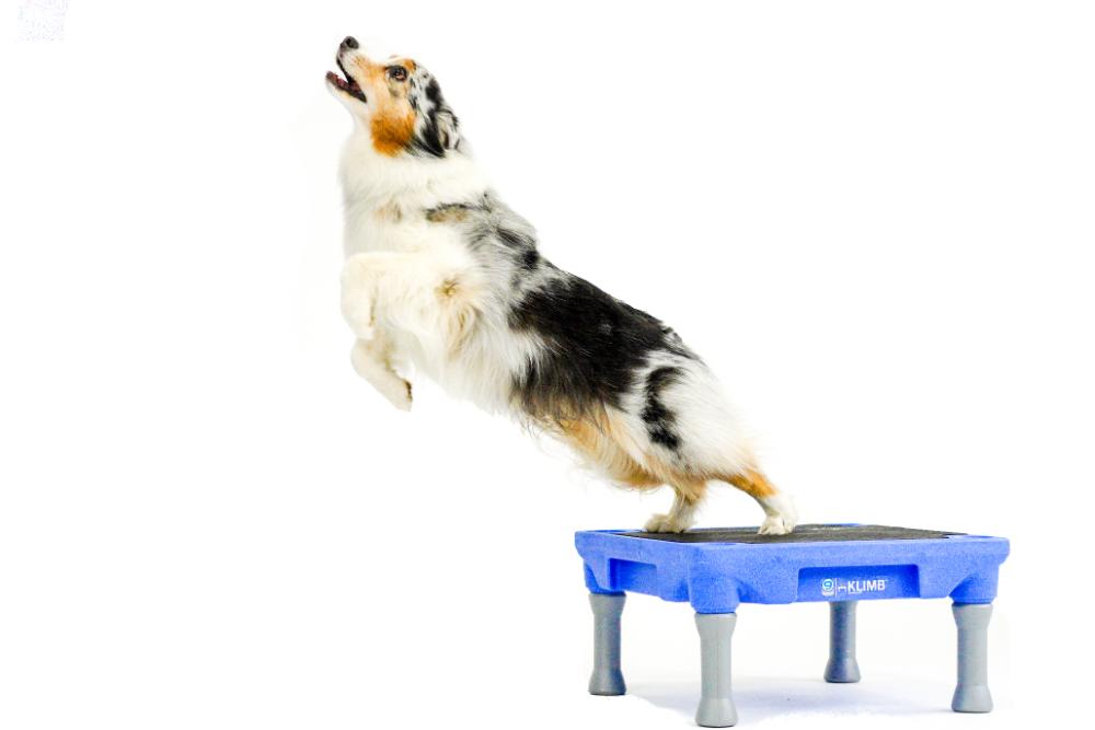 KLIMB Traction Mat Blue-9 Pet Products