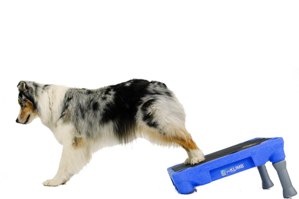 KLIMB Traction Mat Blue-9 Pet Products