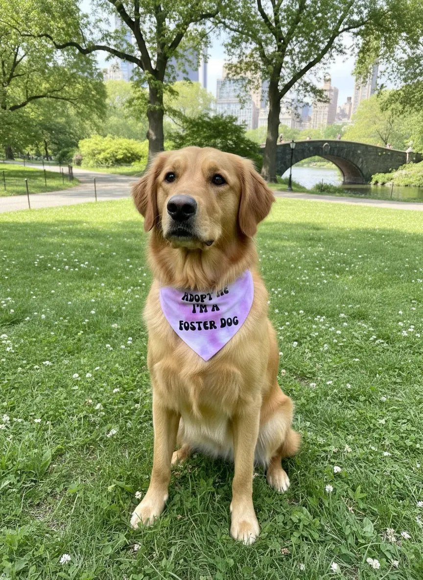Adopt Me I'm A Foster Tie Dye Dog Bandana Happy Tails Outfitters