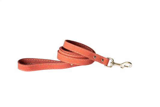 Traditional Coral Reef Leather Leash Euro-Dog Collars and Leads