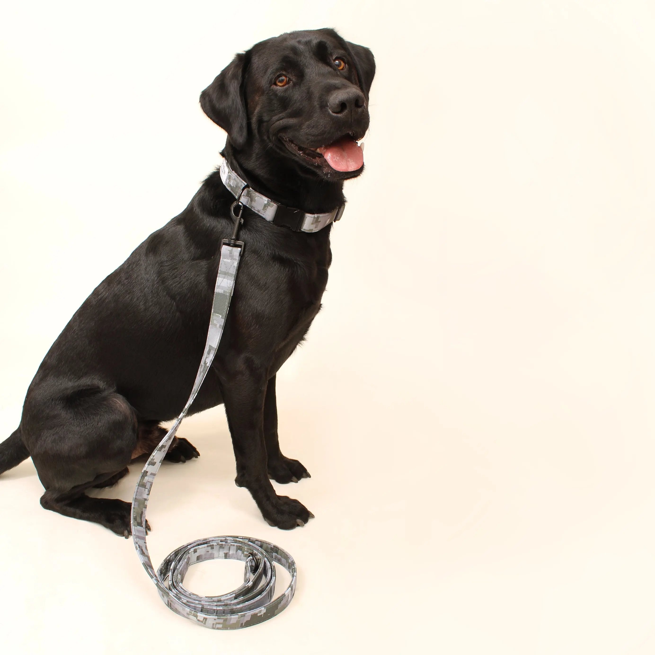 Hike Day Recycled Dog Leash Lil Archies