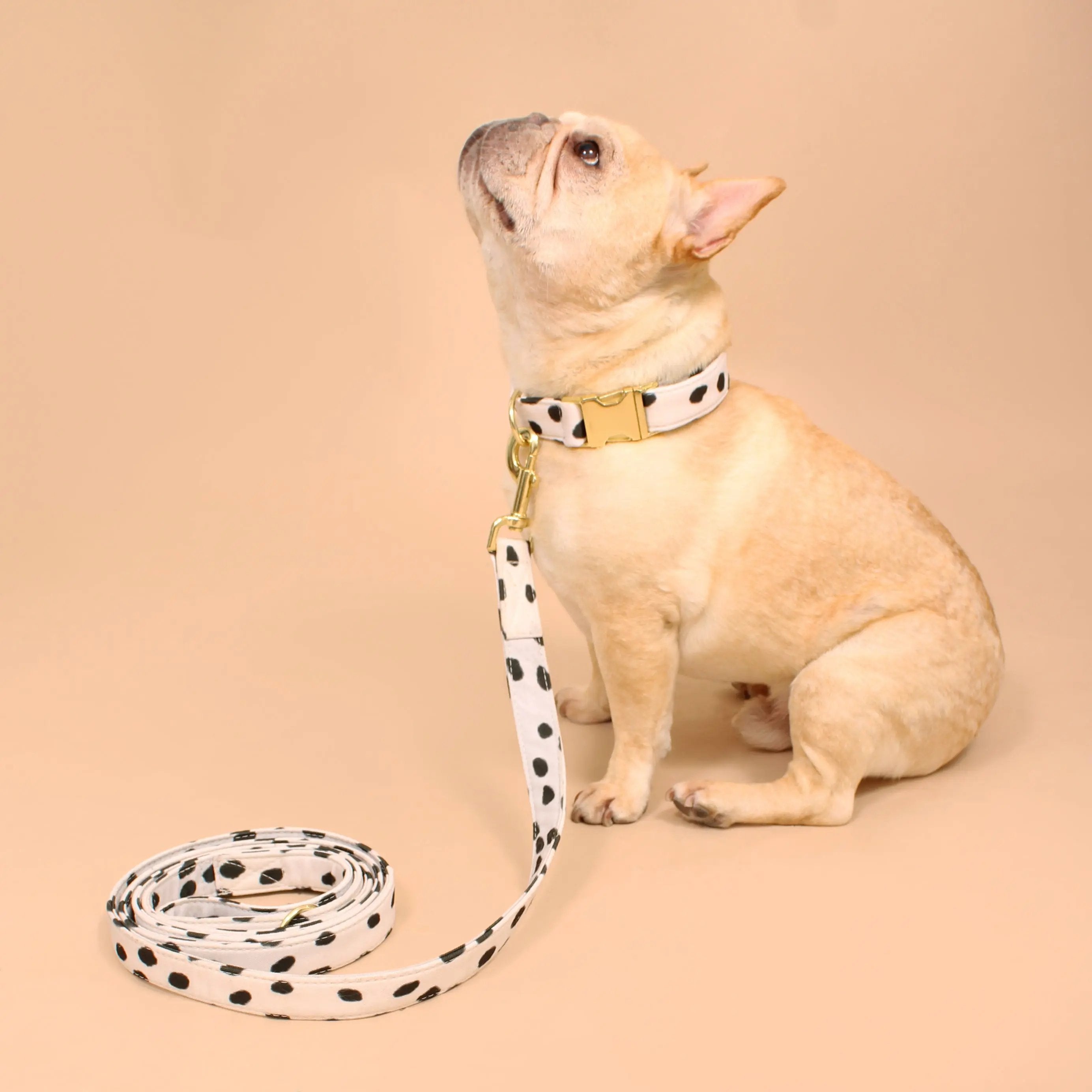 Manhatttan Recycled Dog Leash Lil Archies