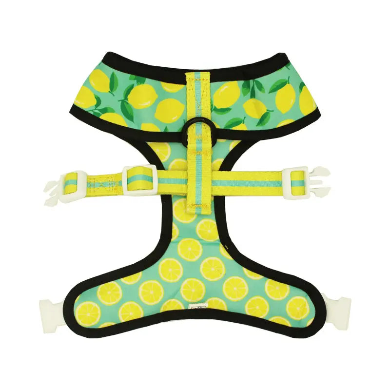 Worth The Squeeze Reversible Harness Pawmigo