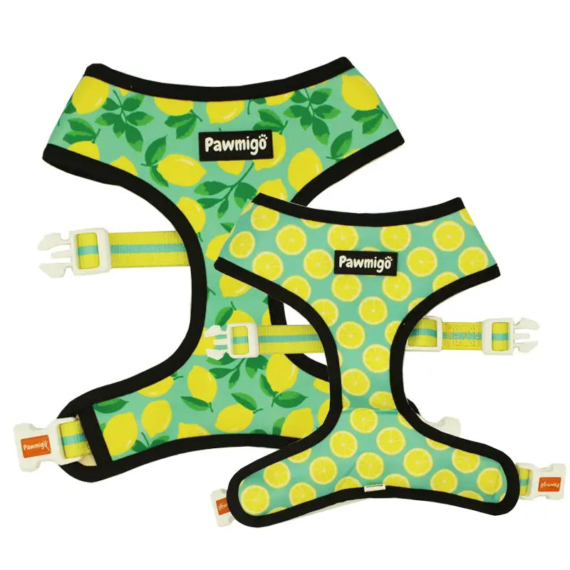Worth The Squeeze Reversible Harness Pawmigo