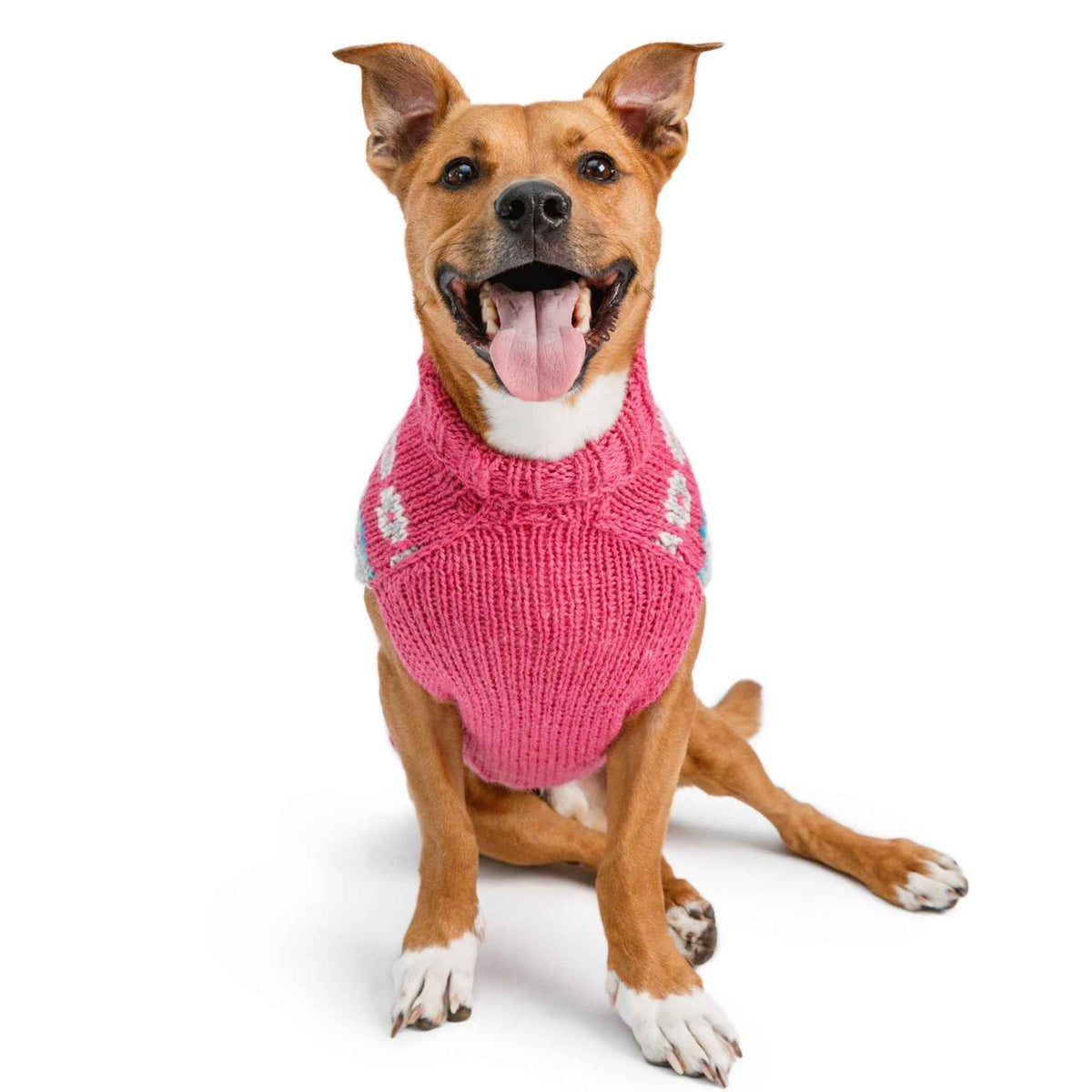 Alpaca Rose Fairisle Dog Sweater