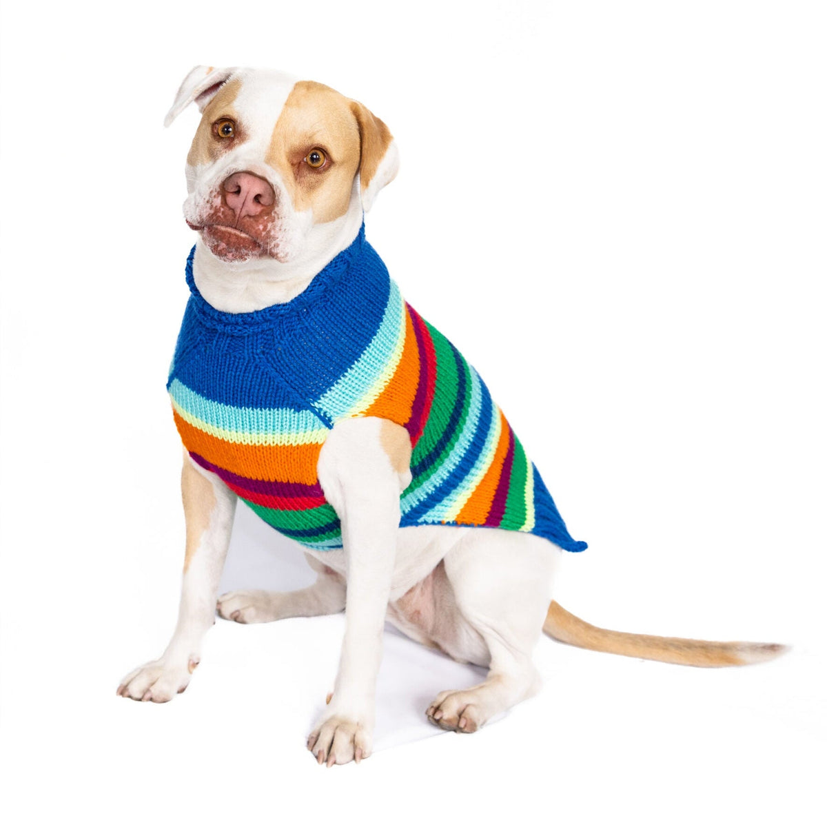 Alpaca Royal Stripe Dog Sweater