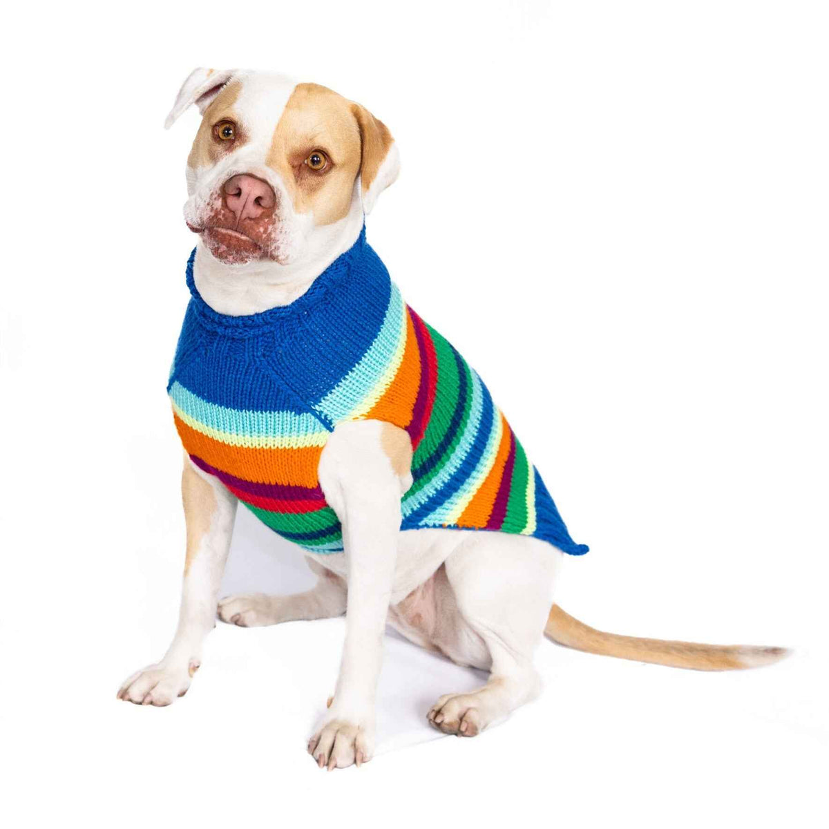 Alpaca Royal Stripe Dog Sweater