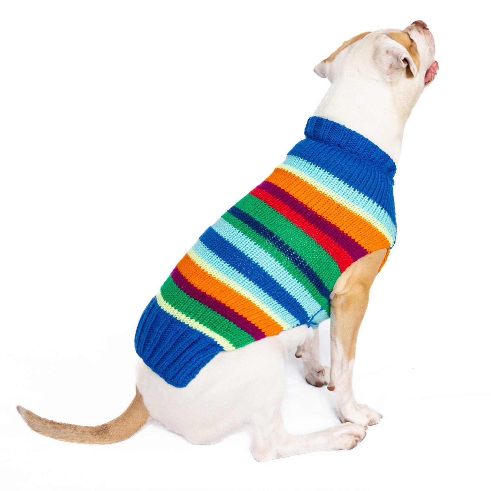 Alpaca Royal Stripe Dog Sweater