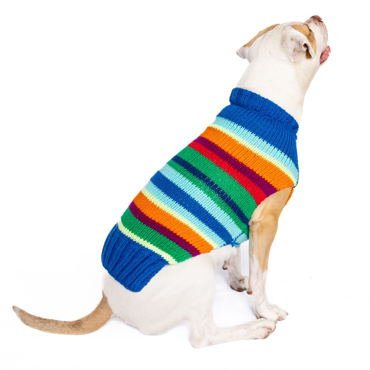 Alpaca Royal Stripe Dog Sweater