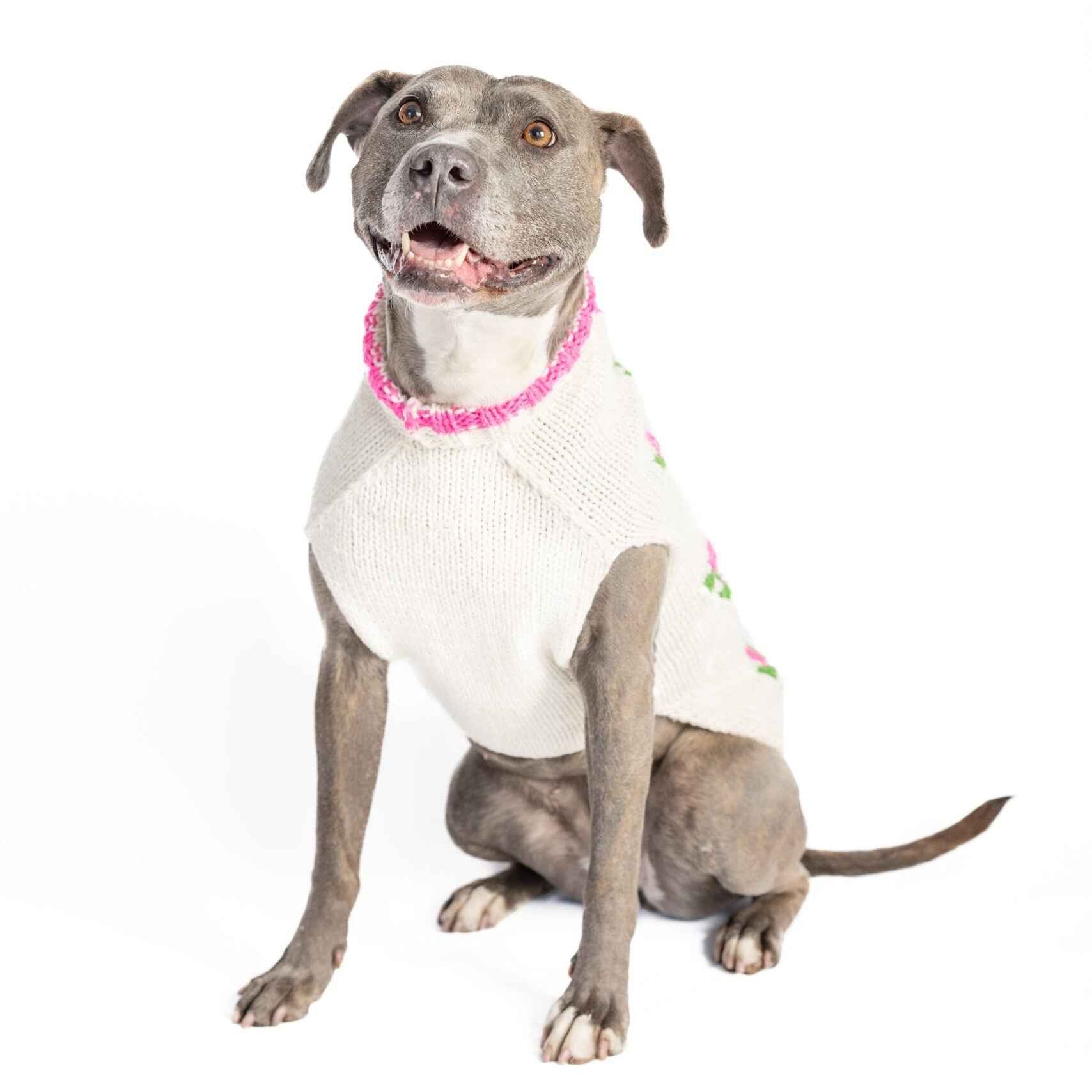 Rose Bud Dog Sweater