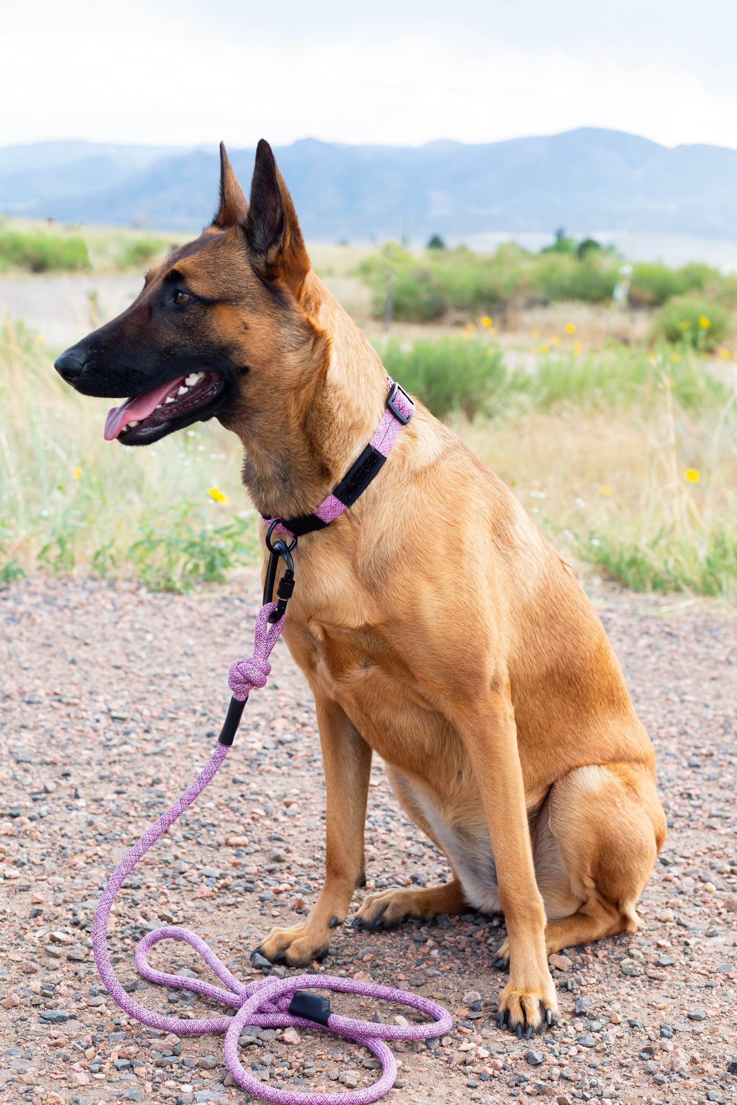 Adventure Style Mountain Blush Climbing Rope Dog Leash Euro-Dog Collars and Leads