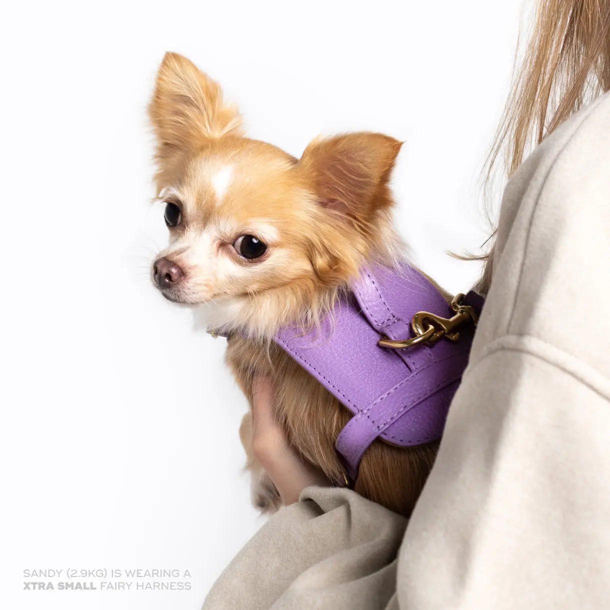 Fairy Heritage Harness Ramona For You