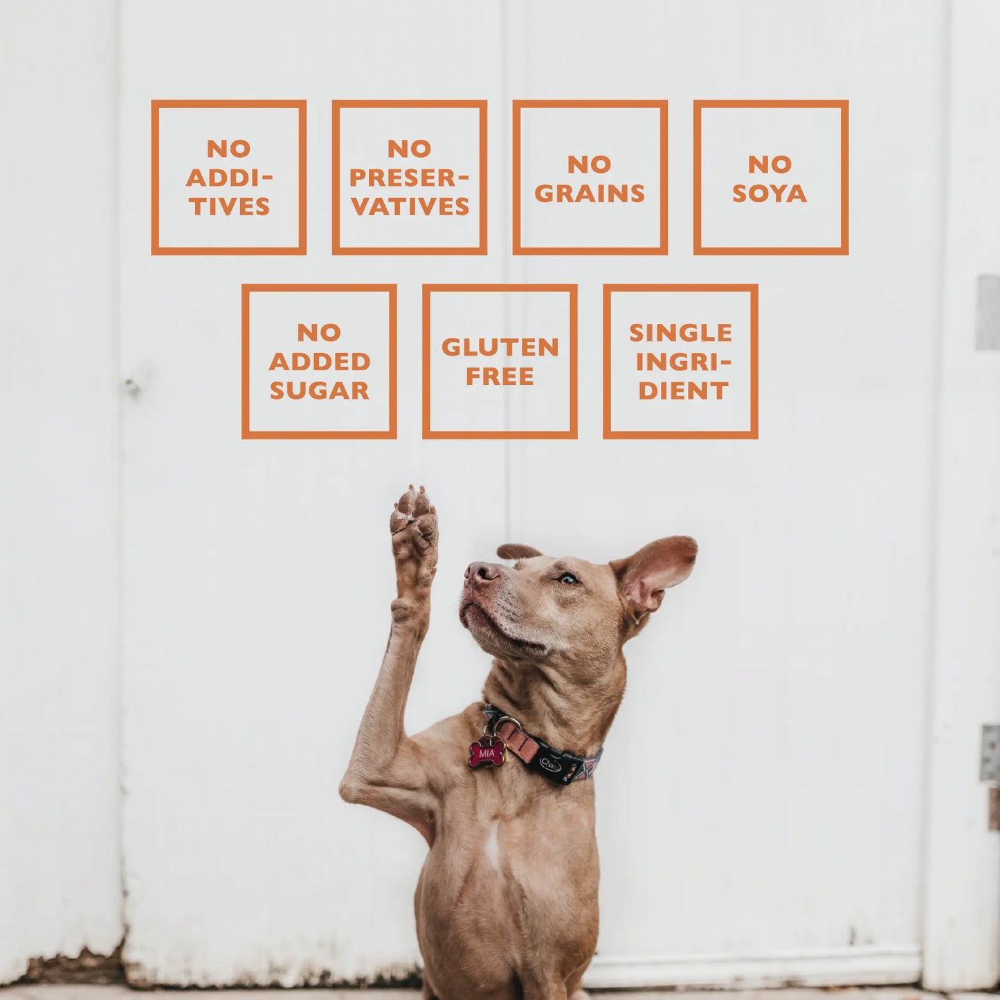 BAFFS NATURALS All-Natural Premium Lamb Lung Biscuits – 2 Pack (4oz Each) American Pet Supplies