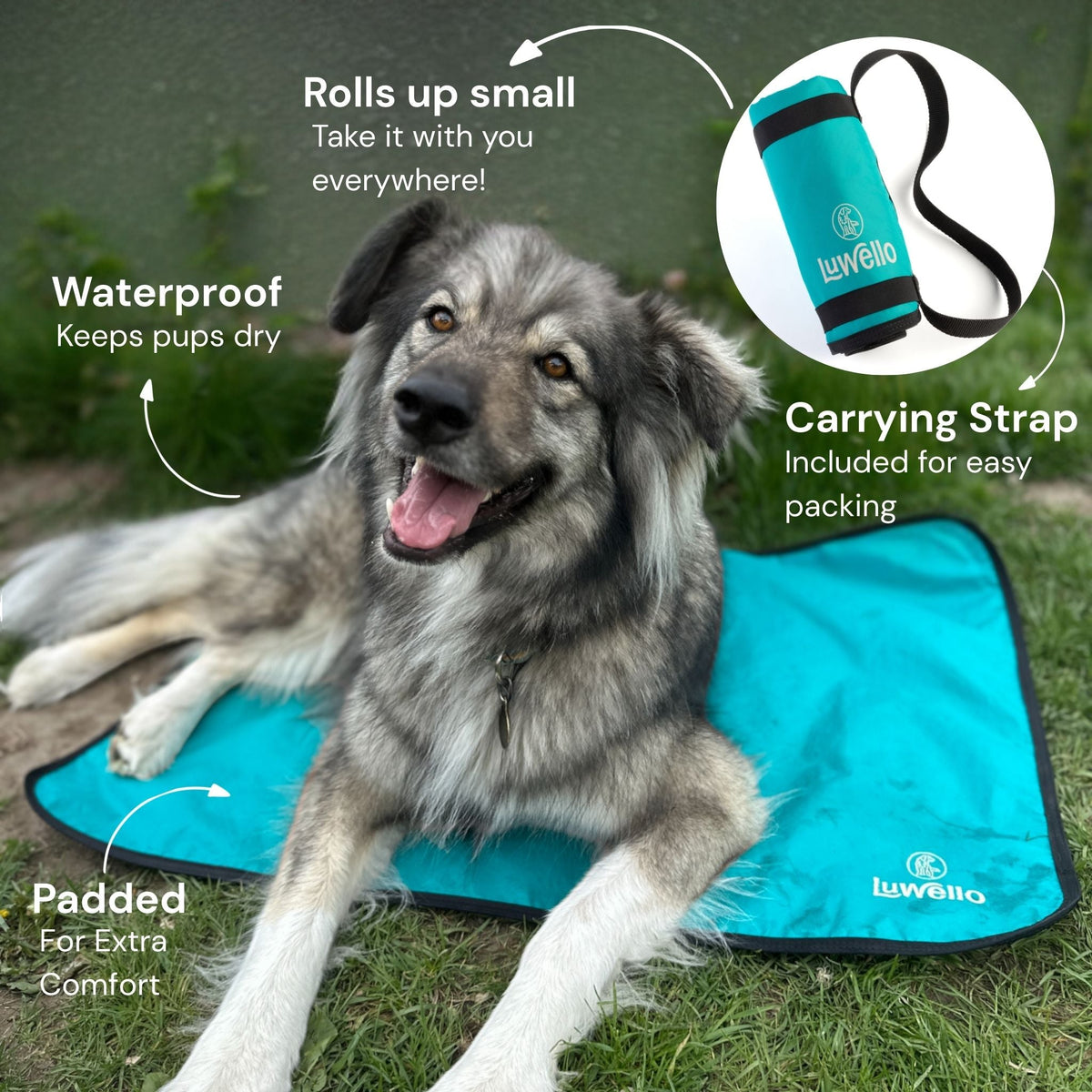 Non-Slip Settle Mat: Grip backing