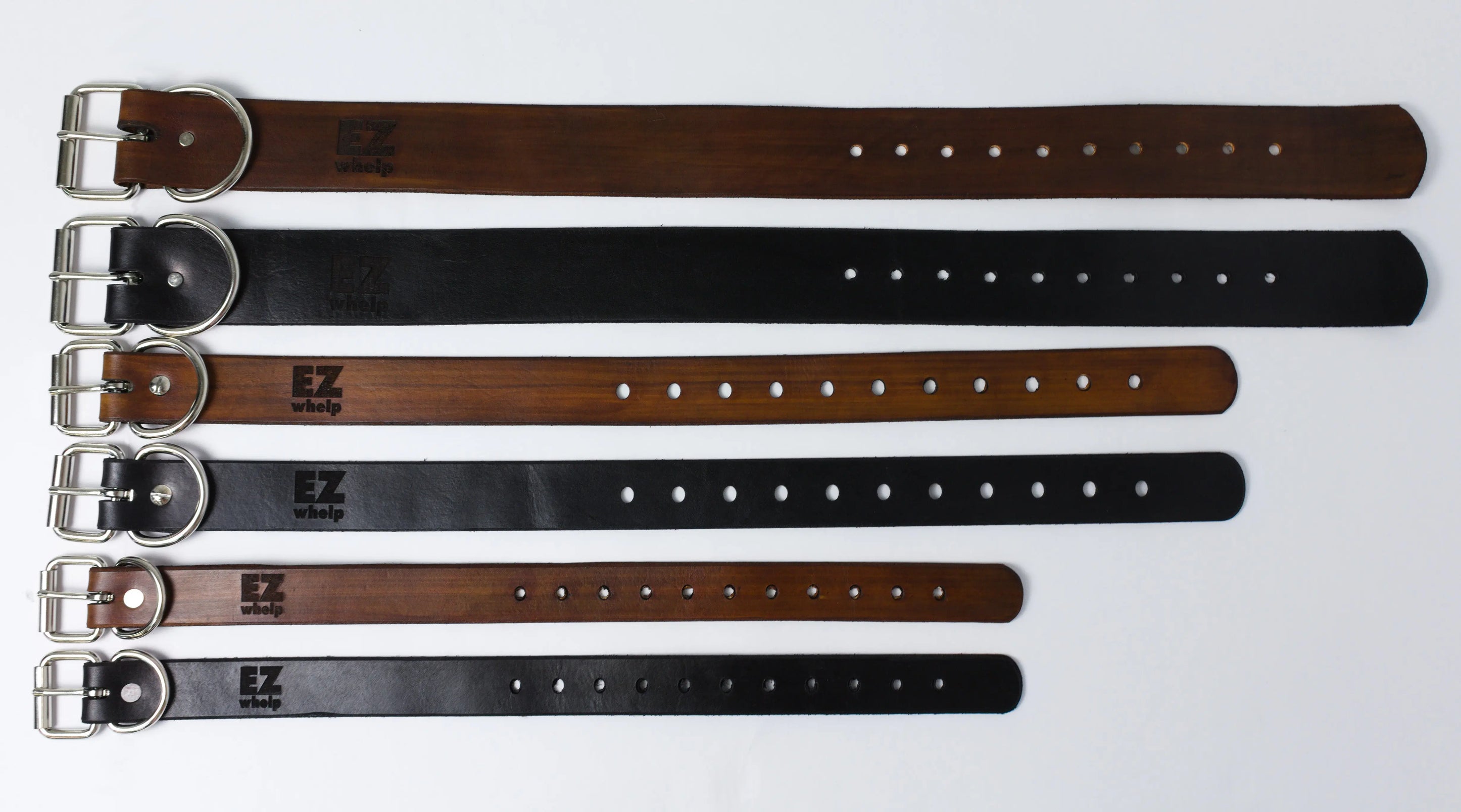 Leather Dog Collar EZwhelp