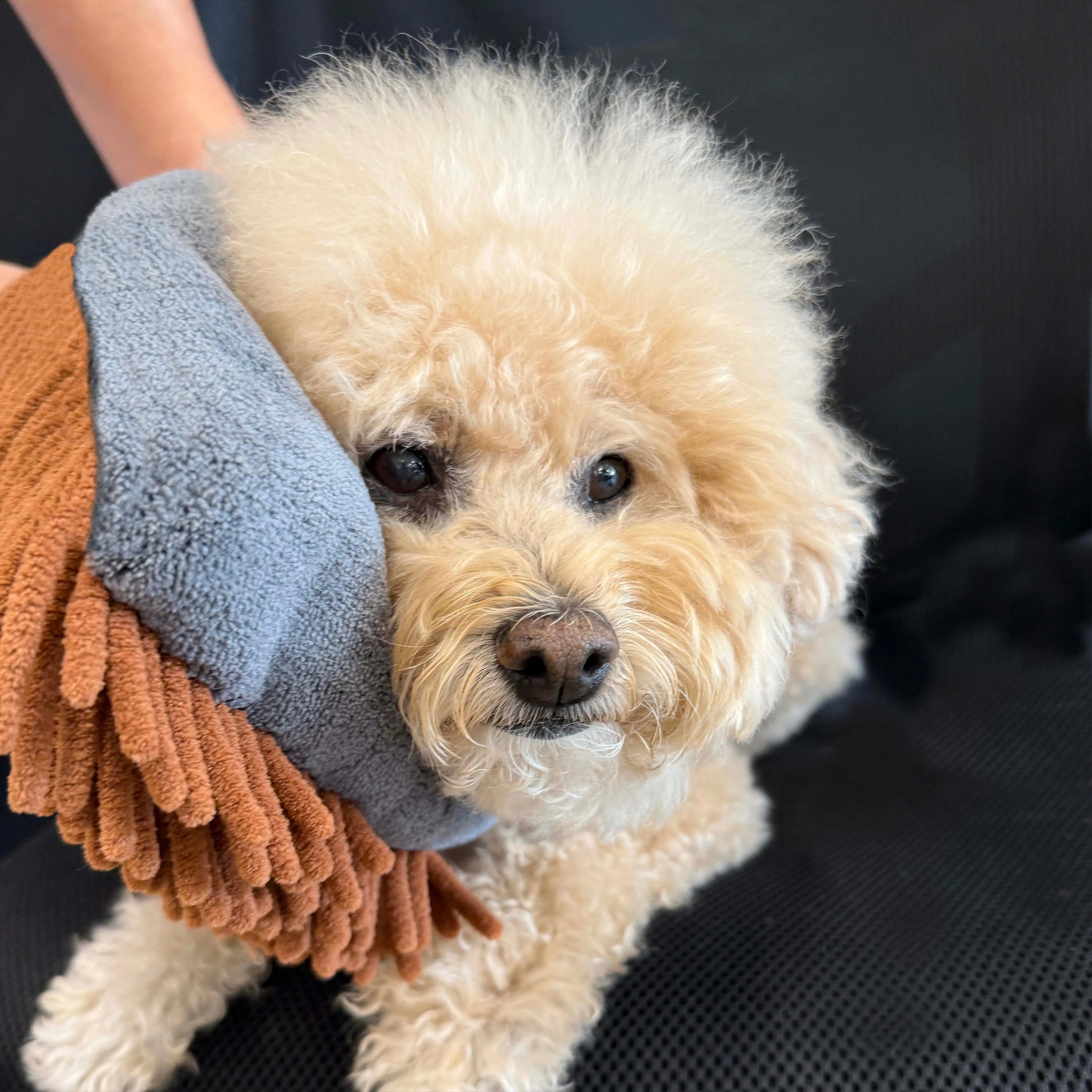 THE MAGIC MITT Dual-Sided Microfiber Grooming Mitt for Dogs & Cats — Use with Waterless Shampoo - K9 Outdoors