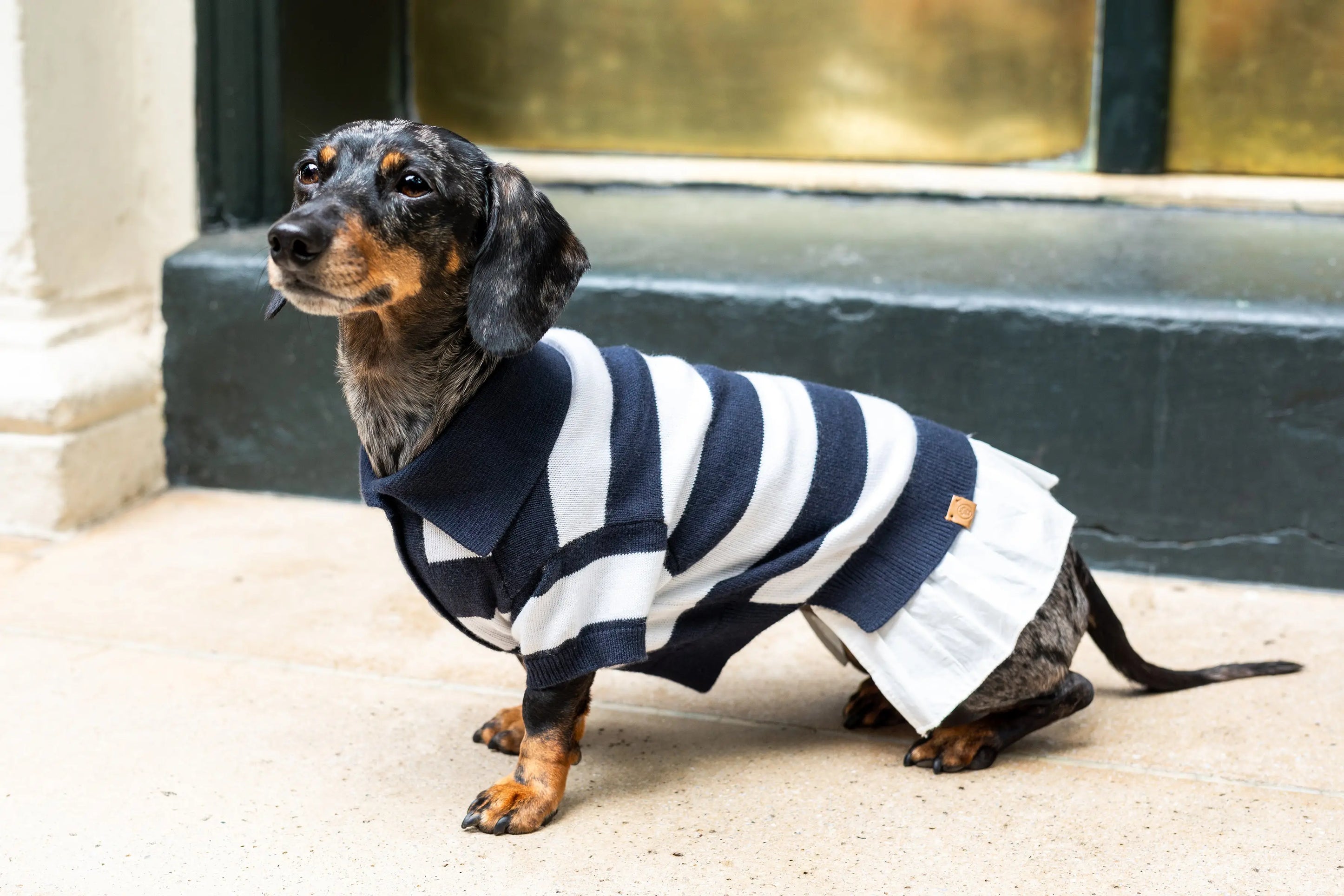 ‘Gladys’ Cashmere blend Polo Dress BESPOKE PAWS