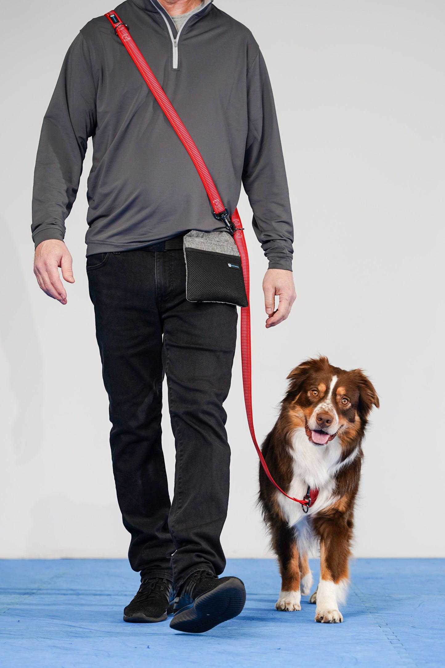 Reflective Multi-Function Leash Blue-9 Pet Products