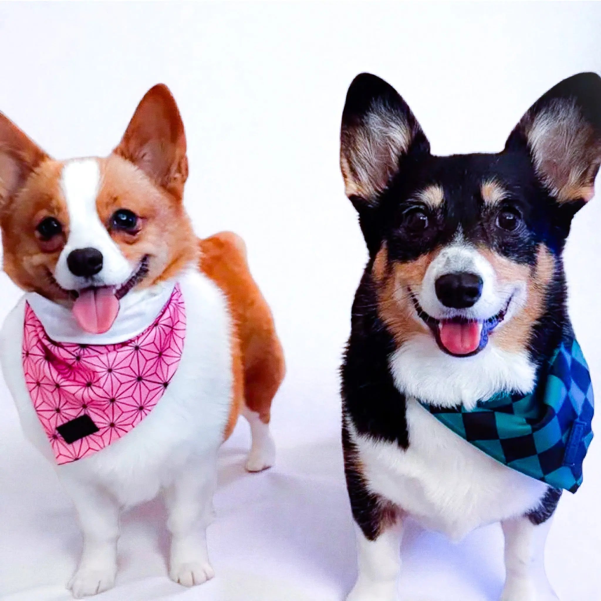 Ichimatsu Checker Cooling Bandana - K9 Outdoors