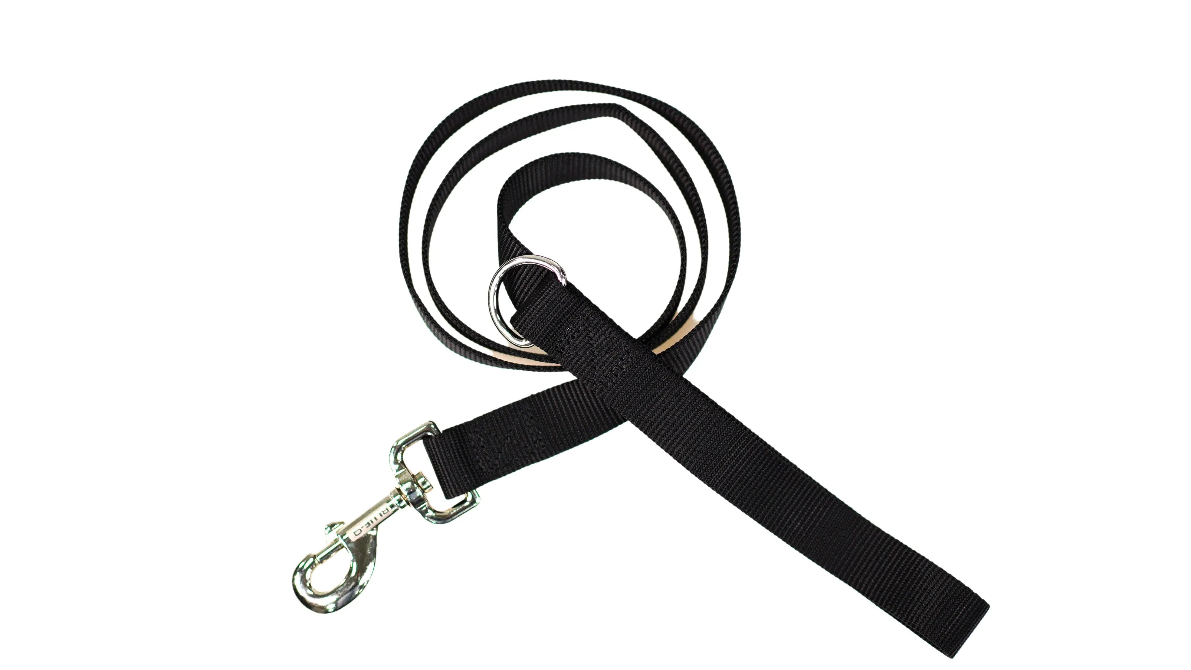 LEAD 4ft Leash