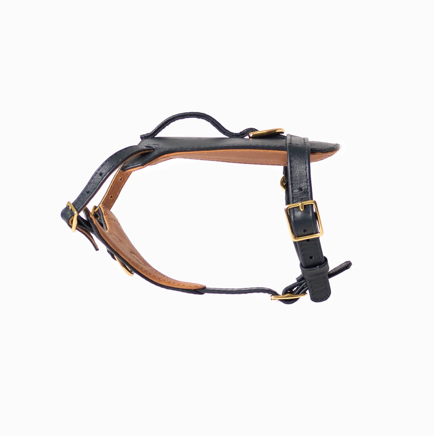 Midnight Heritage Harness Ramona For You