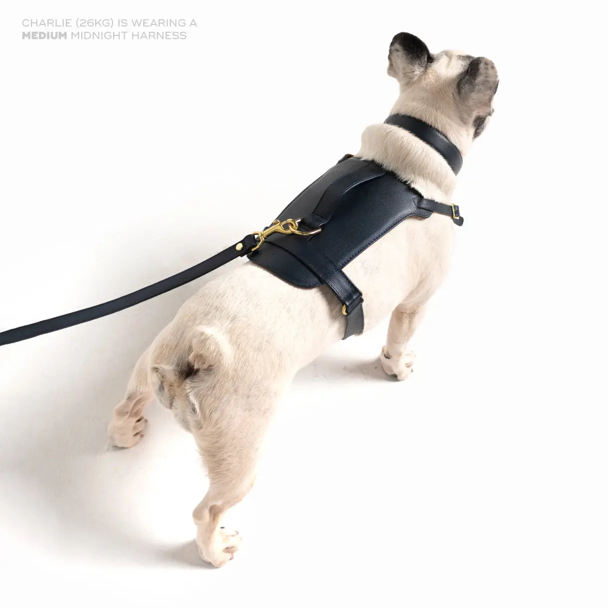 Midnight Heritage Harness Ramona For You
