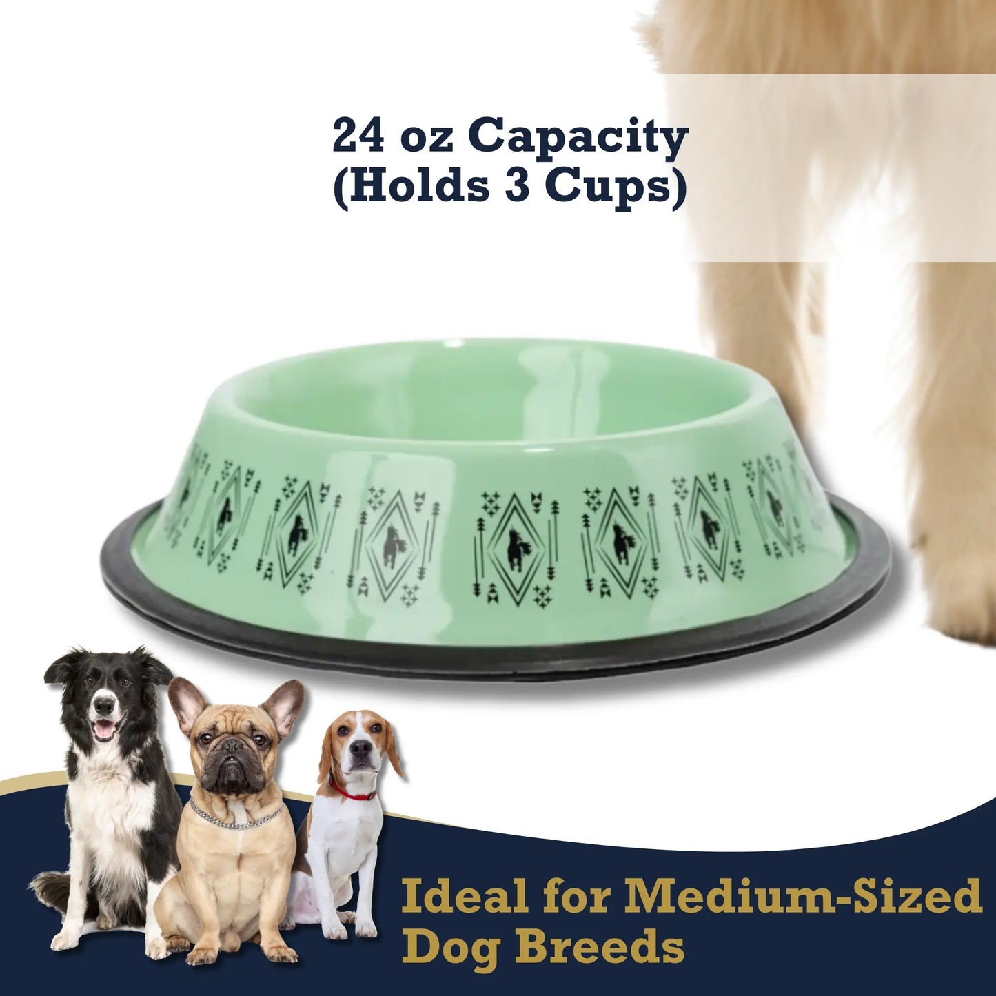 Non-Skid Boho Stainless Steel Dog Bowl – with Whimsical Unicorn Design, Silicone Base for Medium Dogs – 24oz American Pet Supplies