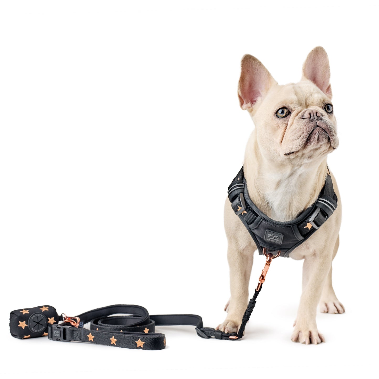 3-in-1 City Dog Leash - Rockstar Dogistry™