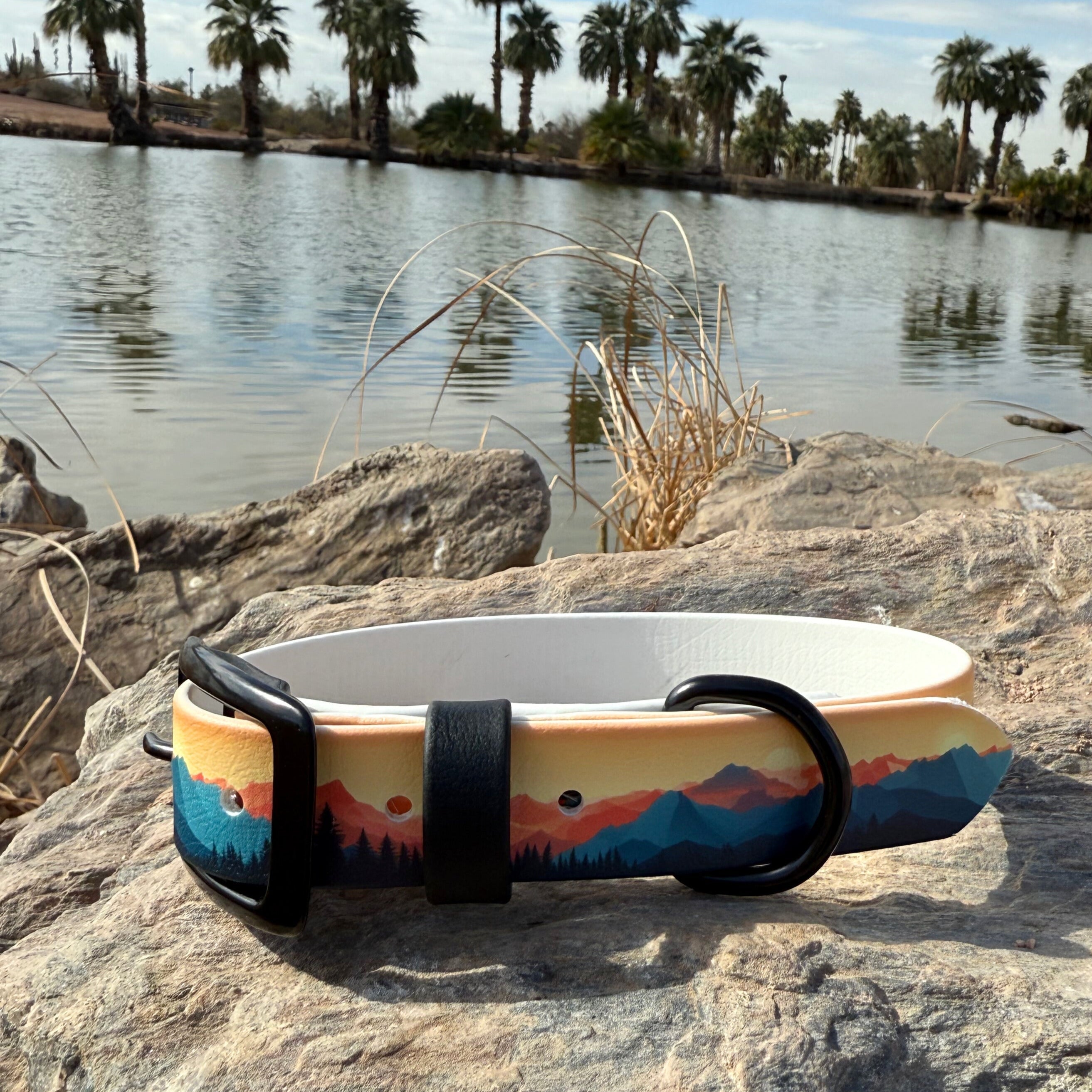 Mountains Biothane Collar