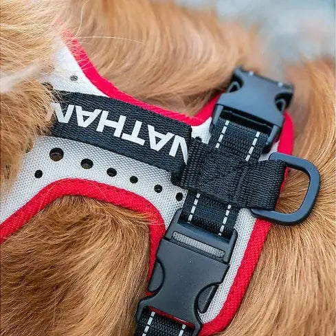 NATHAN REFLECTIVE DOG HARNESS NATHAN